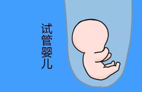 环境